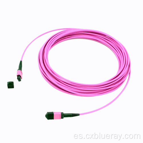 Cable de cable de cable de tronco MPO/MTP femenino a femenino